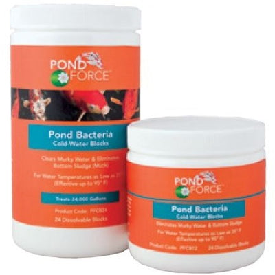 Pond Force Pond Bacteria Cold Water Blocks