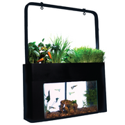 AquaSprouts Garden Hydroponics/Aquaponics Kit