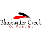 Blackwater Creek Koi Farms logo