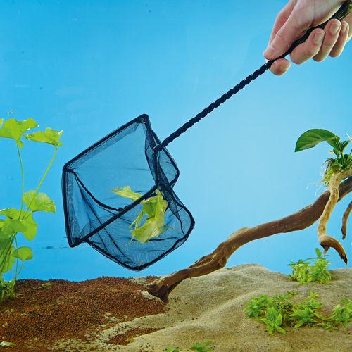 Oase Indoor Aquatics Fish Nets