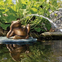 Aquascape® Lazy Frog on Lily Pad Spitter pouring water into pond