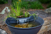 Closeup view of Aquascape AquaGarden Mini Pond Kit