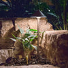 Aquascape® Path and Area LED Dome Top Landscape Light placed beside patio wall