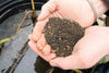 Scooping up a handful of Aquascape® Pond Plant Potting Media