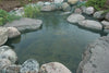 Aquascape® Protective Pond Netting stretched across pond to keep leaves and debris out