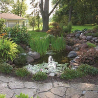Beautiful backyard pond created with Aquascape® DIY Backyard Pond Kits