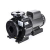 Aquascape EXT External Pond Pumps