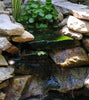 Beautiful, discreet waterfall made using the Atlantic Water Gardens Oasis FilterFalls Waterfall Filter