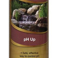 EasyPro pH Up Water Treatment, 16 Ounces