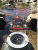 Fish-safe weir design on the Helix Pond Skimmer