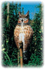 Dalen® Natural Enemy Scarecrow® Inflatable Owl decoy protecting garden