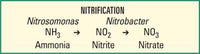 Nitrification caused by Microbe-Lift® Nite-Out II Ammonia & Nitrite Reduction