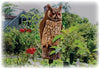 Dalen® Natural Enemy Scarecrow® Great Horned Owl decoy protecting tomato plants