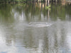 Kasco® Robust-Aire Diffused Aeration Systems without Cabinet used in aeration