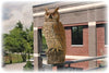 Dalen® Natural Enemy Scarecrow® Rotating-Head Owl protecting balcony garden