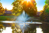 Redwood Nozzle for Scott Aerator 1hp Triad 3-in-1 Fountain