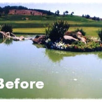 Lake before using Diversified Waterscapes F-20 Enviro Clear Clarifier Flocculant