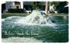 A fountain before using Diversified Waterscapes F-10 Foam Kill