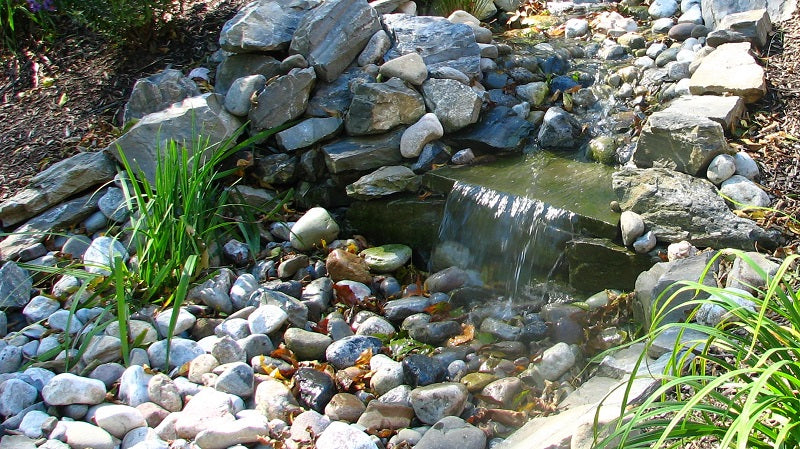 Recommended Routine Pond Practices