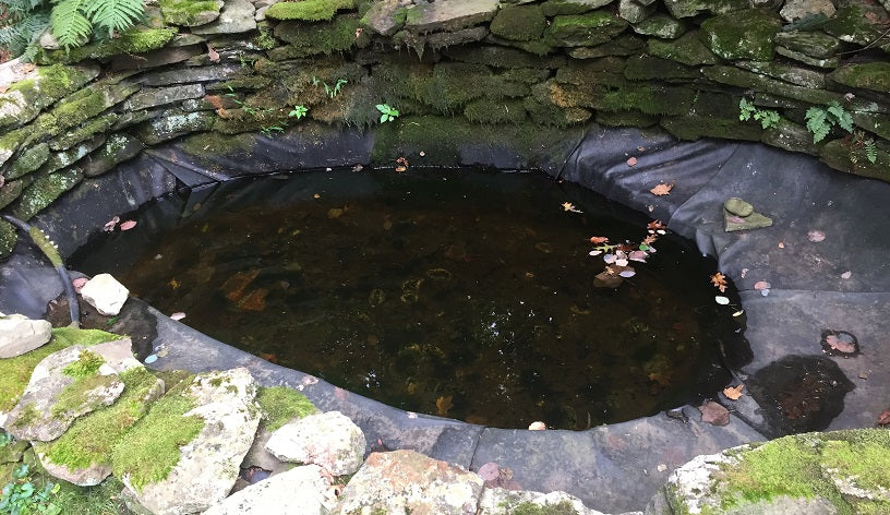 Find and Repair a Leak in your Pond