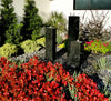 Blue Thumb Smooth Black Granite Fountain