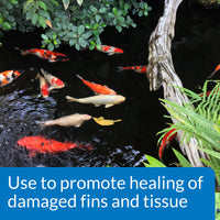 API® Pond Melafix® Antibacterial Remedy