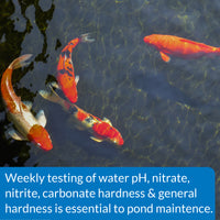 API® Pond 5-in-1 Test Strips — 25 Tests