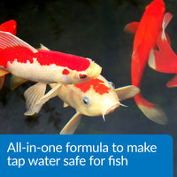 API® Aqua Essential®  All In One Concentrated Pond Water Conditioner