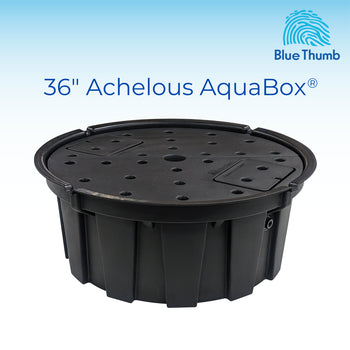 Blue Thumb Fountain Reservoir Basin