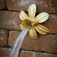 Blue Thumb Brass Flower Spouts