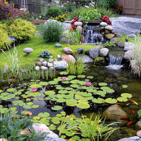 Blue Thumb Elite Pond Kits — From 6' x 8' to 21' x 26'