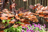 Blue Thumb Extra-Tall Copper Oak Tree Complete Fountain Kit