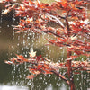 Blue Thumb Copper Japanese Maple Tree Complete Fountain Kit