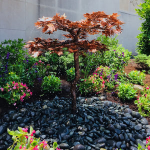 Blue Thumb Copper Japanese Maple Tree Complete Fountain Kit