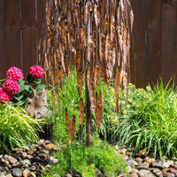 Blue Thumb Copper Weeping Willow Tree Complete Fountain Kits