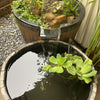 Small pond inside whiskey barrel with water feature and plants in a garden setting