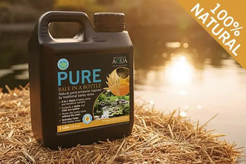 Evolution Aqua Pure BALE in a BOTTLE 500ML and 1000ML options PBB500 & PBB1000