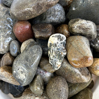 3" to 6" Clean Delaware River Rock - 50LB Bags (Local Pickup ONLY at our Downingtown Boutique) (Copy)