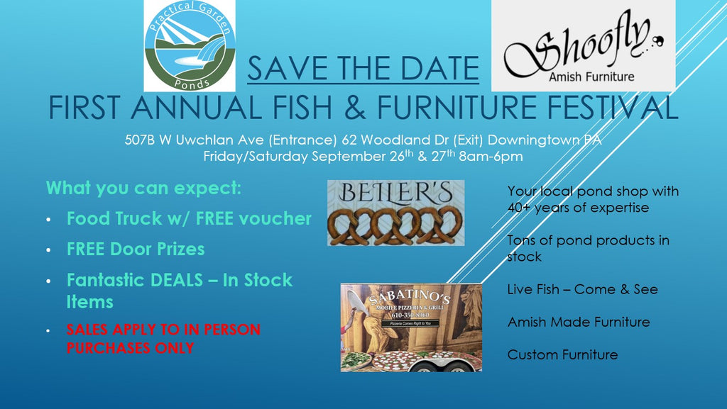 Promotional flyer for the First Annual Fish & Furniture Festival with event details and sponsor logos.