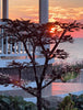 A dramatic outdoor scene at sunset with a silhouetted tree in front of a modern white pavilion and ocean backdrop. Rain is visibly falling, and the sky glows orange, pink, and purple near the setting sun.