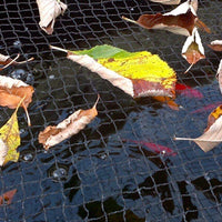 United Aquatics Pond H2O Pond Netting