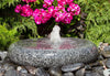 A round granite stone fountain with a small central water jet, surrounded by dark river rocks and green foliage, with bright pink flowers above.