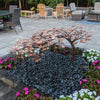 A decorative metal tree sculpture with copper-toned leaves stands over a small waterfall feature in a landscaped garden bed. The fountain is set in a circular arrangement of dark gray river stones, surrounded by pink and white flowers, with a paved patio and outdoor seating visible in the background.