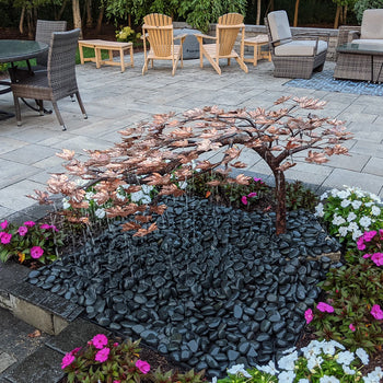 Blue Thumb  Creeping Japanese Maple Tree Fountain Kit