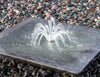Blue Thumb  Stainless Steel Angel Fountain Nozzle