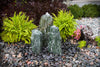 Sea Green Chiseled Fountain