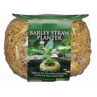 Summit® Clear-Water® Small Barley Straw Planter