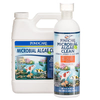 API® Pond Microbial Algae Clean®, 16 Ounce and 32 Ounce Containers