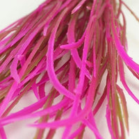 Closeup of pink plant in biOrb® Aquarium Plant Red/Pink Color Pack