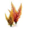 biOrb® Autumn Fern Plant Pack
